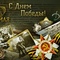 Описание фотографии