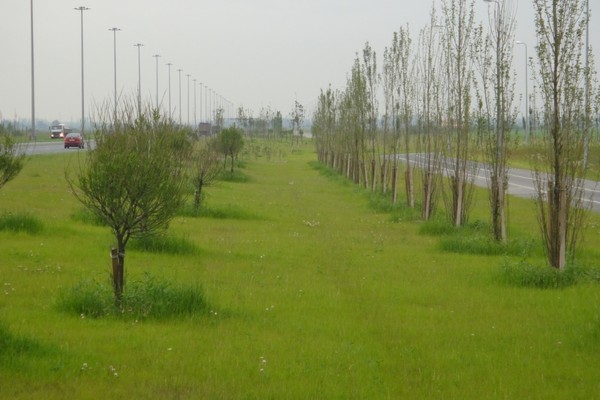 Софийская улица