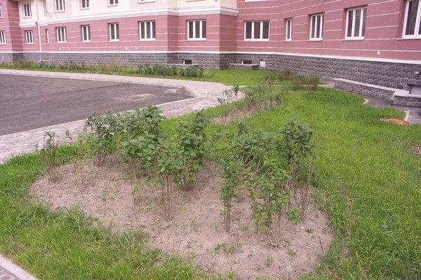 Комплексное благоустройство, ул. Турбинная 18